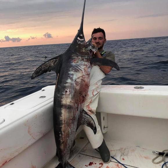 Meet your Posher, Logan - Picture 1 of 1